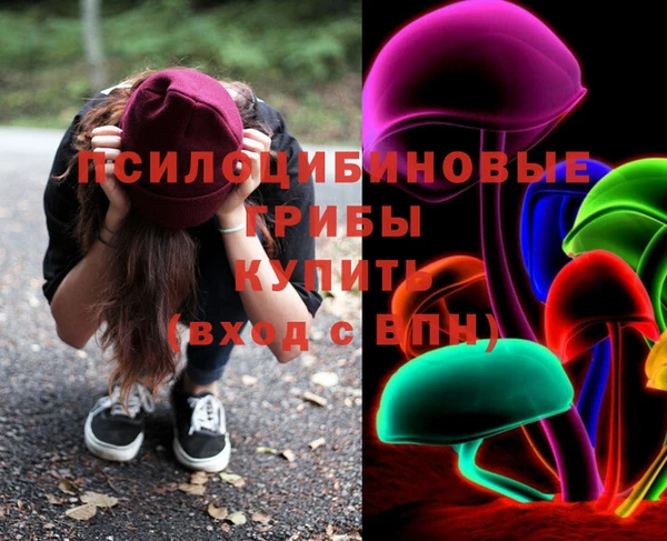 гидра Иннополис
