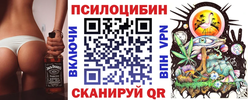 Галлюциногенные грибы Psilocybine cubensis  Купить  Балабаново 